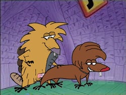 angry_beavers anthro beaver furry ha_cha_cha incest male/female mammal mother_and_son mother_beaver nickelodeon norbert rodent straight tagme