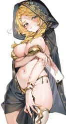 princess zelda from breath of the wild by shuri (84k)