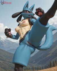 female lucario from nintendo
