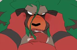 angry animated animated_gif anthro bara barazoku black_nose blinking blowjob blush canine cum cum_in_mouth cum_in_throat cum_inside deep_throat deepthroat erection fellatio flaccid flaccid_penis gay genitals gif green_eyes head_grab hyaku_(artist) incineroar interspecies leaves male male_only oral oral_sex penis pokémon_(species) pokemon pokemon_sm pokemon_ss red_hands rillaboom tagme yaoi