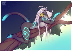 ass breasts furry sdorica zeekzag