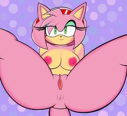 amy rose from sonic (series) by blackmore