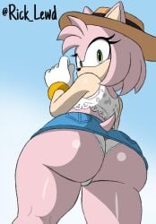 amy rose from sega by rick lewd