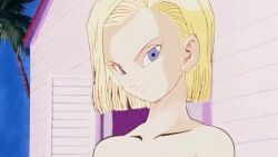 Android 18 Rule 34 Video