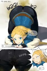 princess zelda from tears of the kingdom