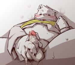 2018 after_masturbation anthro balls belly blush bodily_fluids clothing cum cum_on_hand edit erection genital_fluids genitals humanoid_hands kemono male mammal overweight overweight_anthro overweight_male penis shirt solo sweat takagi_kyou topwear uncensored