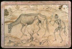 16th_century absurd_res ambiguous_feral ambiguous_gender ancient_art animal_genitalia balls basawan biped branch canid canine canis convenient_censorship dead_tree detailed_background digitigrade domestic_dog emaciated emaciated_ambiguous emaciated_feral emaciated_human emaciated_male equid equine feet feral floppy_ears fully_sheathed genitals grass group hair halter hi_res hill holding_leaf holding_object hooves horse human humanoid_feet humanoid_hands leaf looking_back looking_down male male_feral male_human mammal mane monochrome nude nude_human nude_male open_mouth outside painting_(artwork) persian_text plant plantigrade public_domain quadruped rock sheath side_view tail text tongue tongue_out traditional_media_(artwork) traditional_painting_(artwork) tree underhoof unguligrade walking