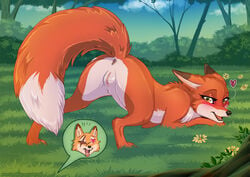 abby_(rukifox) anus ass ass_up blush butt clitoral_hood clitoris couple dipstick_ears dipstick_tail ears female female_focus feral flower fox furry heart-shaped_pupils heart_eyes horny humanoid_genitalia looking_at_viewer looking_back male male/female missing_eye nature outside presenting presenting_anus presenting_ass presenting_hindquarters pussy red_fox rick_(rukifox) rukifox scar smile straight tongue tongue_out vagina yellow_eyes