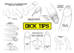 anatomy anatomy_reference balls ballsack bent_penis big_penis circumcised circumcision_scar disembodied_penises drawing_tutorial educational erection erotibot flaccid_penis foreskin foreskin_folds fully_retracted_foreskin genitals glans humanoid_penis inner_foreskin intact line_art male male_only partial_male partially_retracted_foreskin penis penis_chart penis_focus penis_only penis_size_difference penis_tutorial precum prepuce retracted_foreskin scrotal_raphe scrotum smooth_penis testicles text tutorial uncensored uncircumcised uncut unretracted_foreskin veiny_penis whale