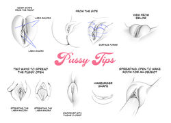 anatomy anus ass clitoral_hood clitoris educational erotibot fat_mons female female_focus genitals hi_res innie_pussy labia line_art long_labia penis penis_in_pussy pussy sex spread_pussy tagme text tutorial uncensored urethra vagina vaginal_penetration vaginal_sex