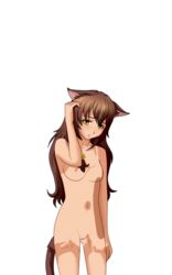 cat_ears cat_tail catgirl color colored completely_nude embarrassed embarrassed_nude_female everlasting_summer female_only long_hair looking_at_viewer png uvao-tan yulya_(everlasting_summer)