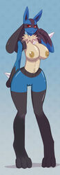 lucario from pokemon by alanscampos