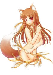 1girls animal_ears blush breasts brown_hair cropped_legs holo long_hair naoyuki_pupu navel nipples nude red_eyes small_breasts spice_and_wolf tail wheat wolf_ears wolf_tail