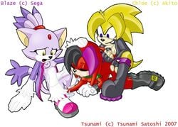 blaze_the_cat chloe_random sonic_(series) tagme tsunami_satoshi tsunami_the_echidna