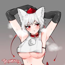 momiji inubashiri from touhou by momijifactory