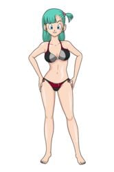 bulma_briefs dragon_ball dragon_ball_super dragon_ball_z pgsrule34 teenager