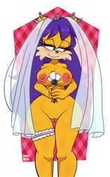 mina mongoose from sonic (series) by monamania
