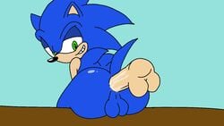 sonic the hedgehog from flipaclip by horndoggy23
