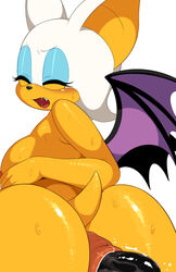 rouge the bat from sega by yuta agc