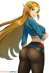 1girls ass blonde_hair breath_of_the_wild cawfield clothed dat_ass female female_only green_eyes long_hair looking_back nintendo pointy_ears princess_zelda skin_tight smile solo solo_female tagme the_legend_of_zelda thick thick_ass tight_clothing zelda_(breath_of_the_wild)