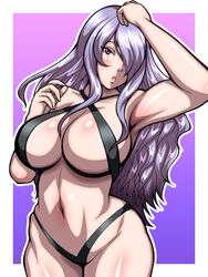 camilla (fire emblem) from fire emblem by inabakun00