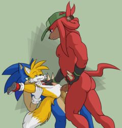 knuckles the echidna from sonic (series)