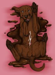 animal_genitalia balls bodily_fluids brown_balls brown_body brown_eyes brown_fur brown_nose brown_pawpads brown_sheath candy canid canine canis chocolate chocolate_sauce chocolatelab_(character) cum cum_on_belly cum_on_body cum_on_self dessert domestic_dog fangs feral food front_view fur genital_fluids genitals hi_res killthe_demon licking licking_lips licking_own_lips looking_at_viewer lying male mammal messy on_back open_mouth pawpads penis penis_tip pink_penis pink_tongue sheath solo teeth tongue tongue_out