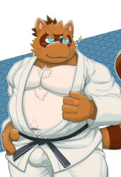 2025 absurd_res anthro belly blue_eyes blush bottomwear brown_body bulge canid canine clothing hi_res keikogi kemono male mammal martial_arts_uniform moobs musclegut muscular navel overweight overweight_male pants raccoon_dog rockmai3 sengoku_puzzle shadow_ieyasu solo sportswear tanuki