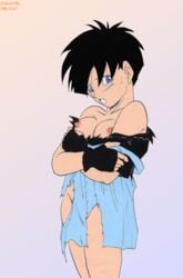 2d dragon_ball dragon_ball_z female female_only full_color human no_penetration no_sex nr1231 short_hair solo solo_female straight_hair tagme teenager videl videl_(short_hair) yuuki-sama