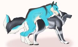 absurd_res ambiguous_gender ambiguous_penetrated animated blue_body blue_eyes blue_fur canid canine duo feral feral_on_feral feral_penetrated feral_penetrating feral_penetrating_feral from_behind_position fur grey_body grey_fur hi_res killthe_demon male male/ambiguous male_penetrating male_penetrating_ambiguous mammal mouth_closed penetration sex short_playtime simple_background white_background white_body white_fur