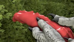 16:9 3_toes 3d_(artwork) animated autofootjob barlu claws digital_media_(artwork) dinosaur erection feet feral foot_fetish foot_focus foot_play genitals hi_res high_framerate hindpaw indominus_rex jurassic_park jurassic_world male masturbation no_sound paws penis reptile scales scalie short_playtime solo source_filmmaker theropod toe_claws toes universal_studios video webm widescreen