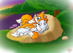 fur furry_tail male_only multiple_tails sonic_(series) tagme tail tails twotails