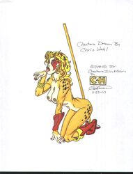 2007 cheetara chris_hanssen chris_wahl tagme thundercats