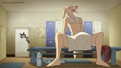 1boy 2d 2d_animation abs advertisement all_fours animated anthro athletic athletic_anthro athletic_male beastars being_watched bent_over bikomation bird_dog black_nose bodily_fluids bottle bottomless brown_eyes canid canine canis cheek_tuft claws closed_eyes clothing conditional_dnp digital_media_(artwork) domestic_dog duo eyebrows facial_tuft fangs floppy_ears fluffy fluffy_tail frame_by_frame fur furniture grey_body grey_fur hunting_dog jack_(beastars) labrador legoshi_(beastars) locker_room looking_at_another looking_pleasured male male_only mammal masturbating masturbating_under_clothing masturbation masturbation_through_clothing narrowed_eyes netflix on_model open_mouth peeping penile penile_masturbation retriever short_playtime sitting tan_body tan_fur teeth tongue tongue_out towel towel_on_shoulder towel_only tuft voyeur widescreen wolf yellow_body yellow_fur