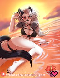 1girls anthro ass bikini black_body black_claws black_fur claws demon grey_hair hellhound helluva_boss ladypixelheart looking_at_viewer loona_(helluva_boss) multicolored_body multicolored_fur toe_claws vivienne_medrano white_body white_eyes white_fur