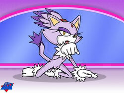 anthro blaze_the_cat cat feline female female_only fur mammal solo sonic_(series) straight_hair tagme wdj