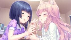 1boy 2girls animal_ear_fluff animal_ears black_hair blue_hair blunt_bangs blush cat_ears censored closed_eyes cum ffm_threesome fraise_(nekopara) game_asset group_sex handjob hetero highres indoors long_hair minazuki_shigure mosaic_censoring multiple_girls nekopara open_mouth penis pink_hair sayori_(neko_works) short_hair short_sleeves threesome
