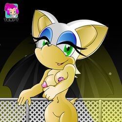 anthro bat big_head breasts female female_only green_eyes huge_eyes nude rouge_the_bat sega sonic_(series) standing tagme tempy toony