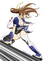 1girls breasts brown_eyes brown_hair dead_or_alive female hirake_goma_doa kasumi_(doa) kneeling kunoichi long_hair ninja panties pantyshot pantyshot_(kneeling) ponytail thighhighs underwear white_panties white_thighhighs white_underwear