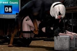 1girls 2021 3d 60fps animated blindfold blueberg bob_cut boots bouncing_breasts breasts canine clothed dog doggy_style edit feral from_behind_position hi_res human interspecies licking licking_face loop medium_breasts nier nier:_automata nipples no_sound on_knees paw_print paw_tattoo stockings straight tattoo vaginal_penetration video white_hair yorha_2b zoophilia