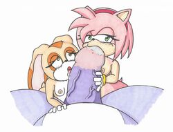 1boy 2girls 2girls1boy amy_rose big_the_cat blowjob brownpidgeon cream_the_rabbit female furry huge_cock male offscreen_character sonic_(series) sonic_the_hedgehog_(series) threesome unseen_character unseen_male_face