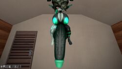 Balls Rule 34 Image