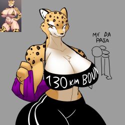 breasts breasts_bigger_than_head cheetah curvy female gonda gym_clothes huge_breasts reference_image tagme track_pants wide_hips