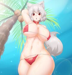 momiji inubashiri from touhou by tochinoko