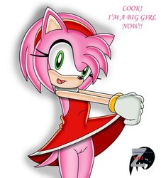 amy_rose beige_skin color female female_only fur furry hedgehog pink_fur skin solo sonic_(series) uekawa_style zetar02