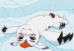 anus balls blush claws digimon gomamon ice lying male on_back penis ziyen