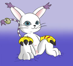 blue_eyes claws digimon feline female gatomon navel purple_background pussy sitting solo spread_legs spreading ziyen