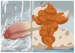 anthro bathroom cum cum_flood cumming cumshot excessive_cum furry furry_only glory_hole hyper hyper_balls hyper_genitalia hyper_muscles hyper_penis koigle male male_focus male_only muscles muscular muscular_arms muscular_back muscular_legs muscular_male muscular_thighs muslce nipples orgasm orgasm_face solo solo_male veins veiny_penis vore