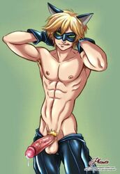 adrien agreste from miraculous ladybug by phausto