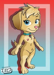 2021 anthro blue_eyes breasts collar dog dog_girl ella_(paw_patrol) fanart female female_only furry jackintaro nickelodeon nipples paw_patrol pussy